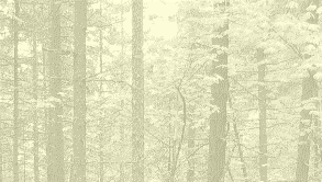 Bannerphoto